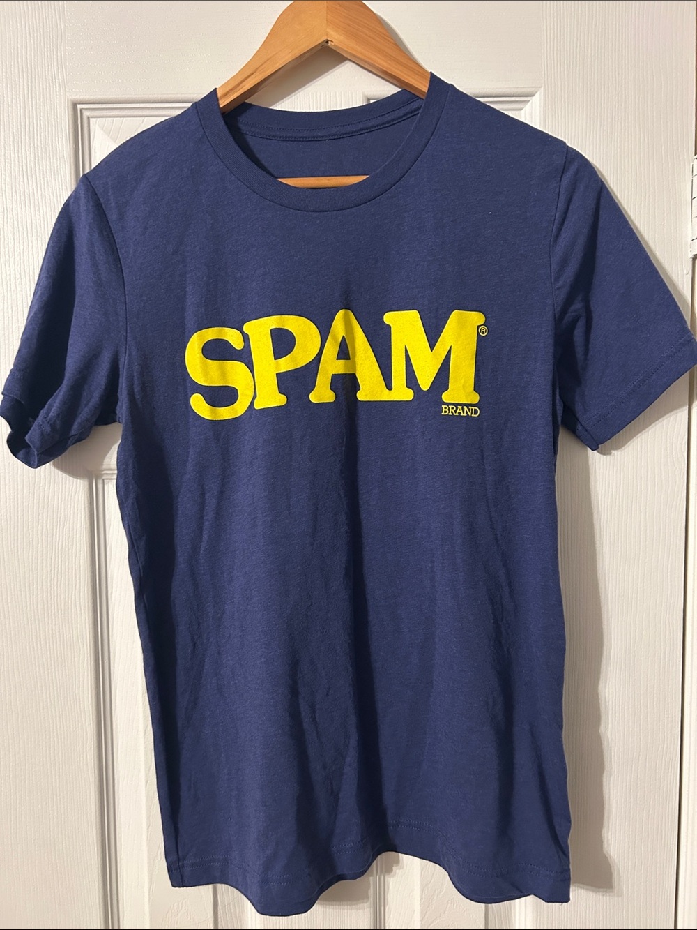 SPAM T-Shirt Women’s M / Mens S